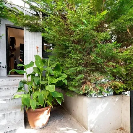 Appartement Oasis Urbaine à Saint-Maur-des-Fossés Extérieur photo